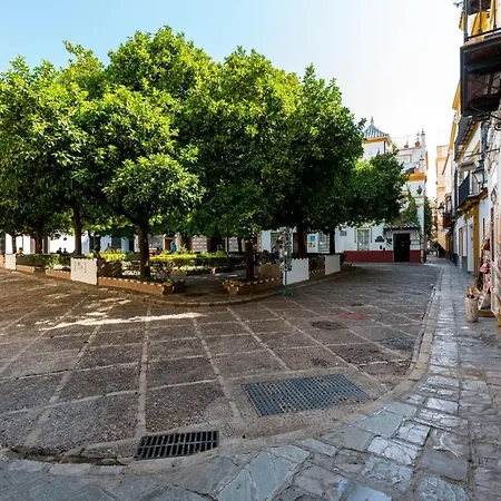 Dona Elvira Cathedral * Seville